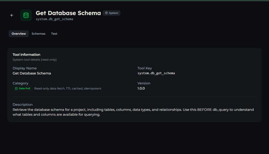 db_get_schema tool — Overview tab