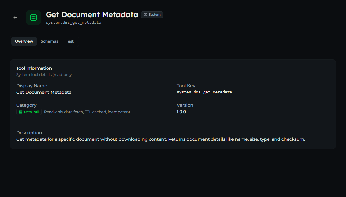 dms_get_metadata tool — Overview tab