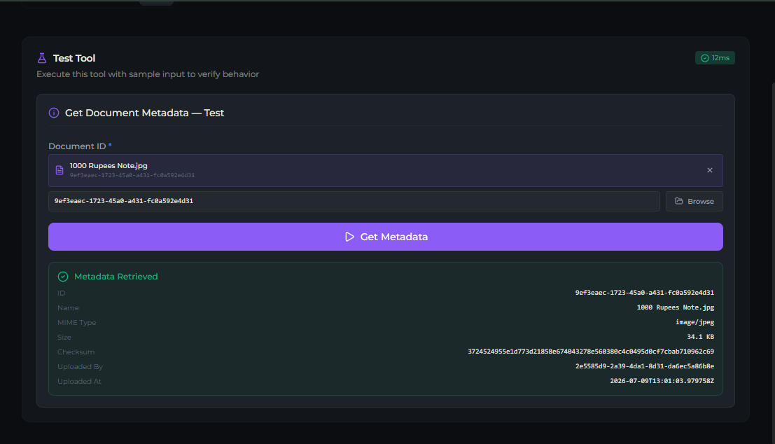 dms_get_metadata tool — Test tab