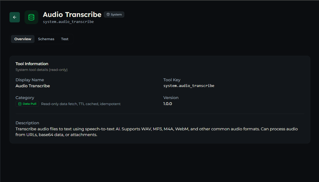 audio_transcribe tool — Overview tab