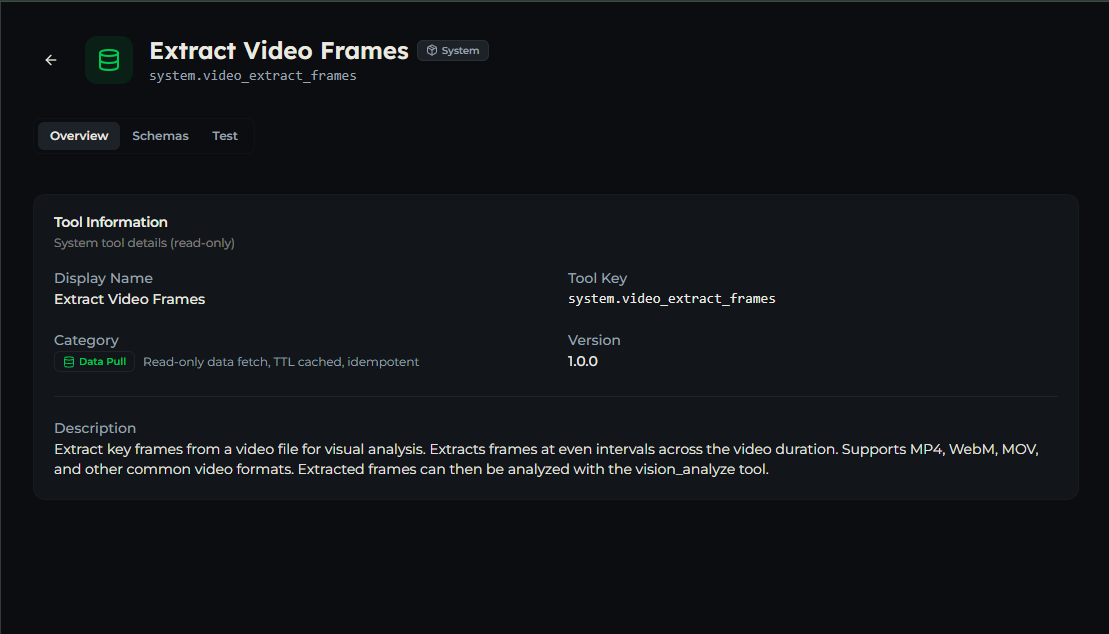 video_extract_frames tool — Overview tab