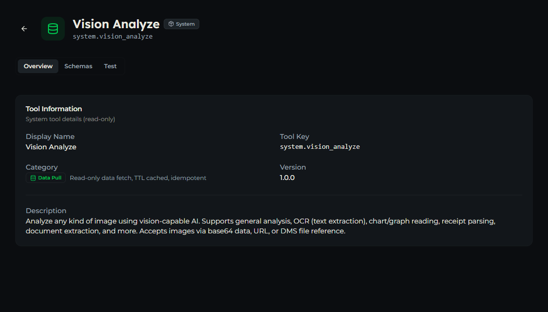 vision_analyze tool — Overview tab