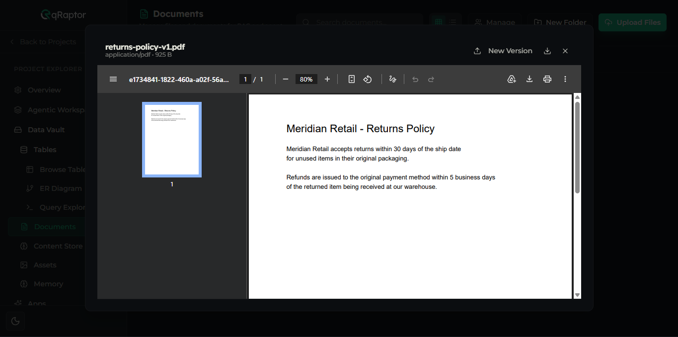 Full-screen document preview with zoom and download controls