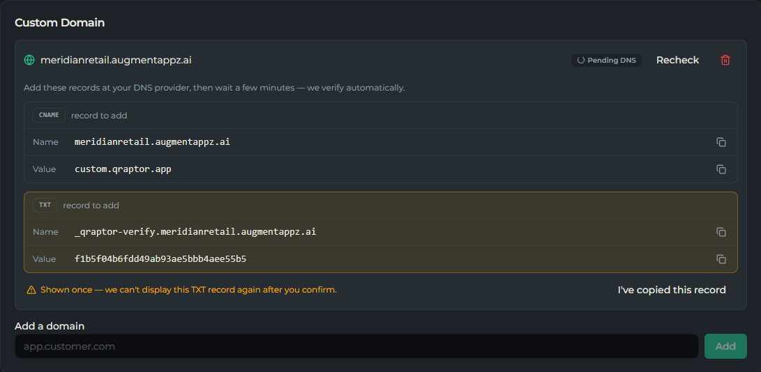 Custom domain setup showing the CNAME and one-time TXT records to add at your DNS provider