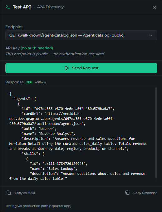 Test Discovery result showing the returned agent-catalog JSON with the agent's card