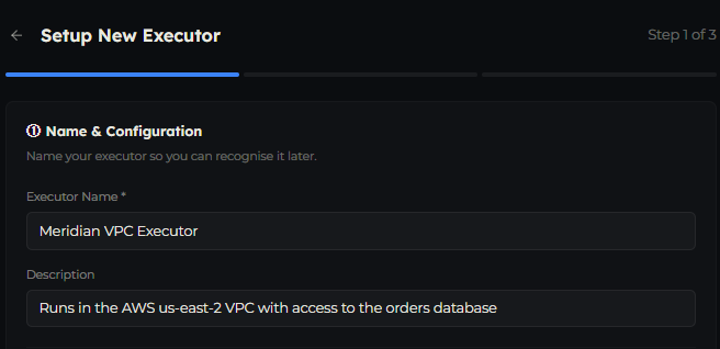 Step 1 of the Setup New Executor wizard showing the Executor Name and Description fields