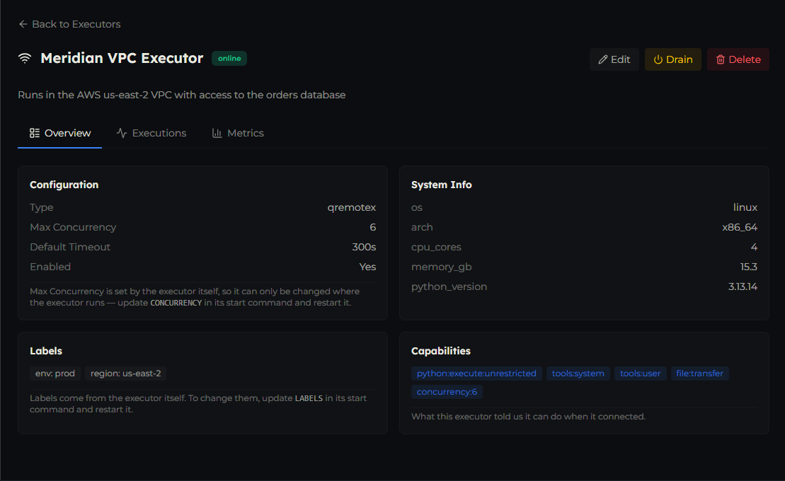 An executor's Overview tab showing Configuration, System Info, Labels and Capabilities