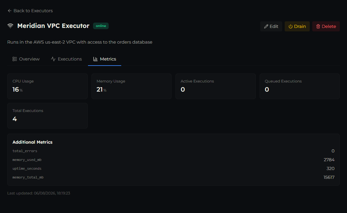 The Metrics tab showing CPU and memory usage, active and queued executions, total executions, and the Additional Metrics list